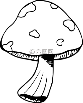 蘑菇,鵝膏菌,林下