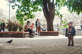 嬰兒,男孩,鴿子
