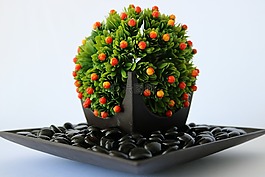 鮮花,母親的一天,母親