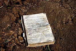 老,書,書籍