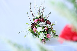 自然,花,植物