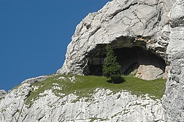 樹,山,巖