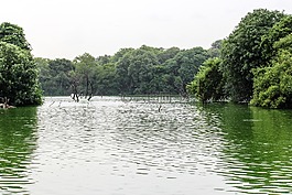 湖,自然,印度