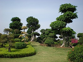 中国,花园,性质