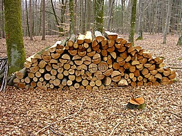木,森林,holzstapel