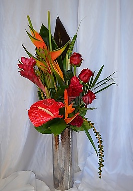 熱帶,鮮花,姜
