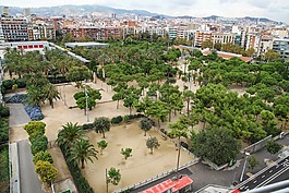 公園,樹,街