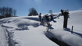 雪,冬天,性质