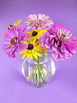 花,性質(zhì),花瓣