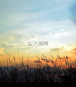 天空,多云,自然