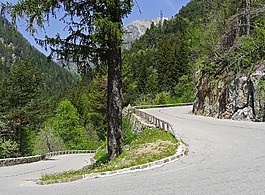 传递路,蛇纹石,高山
