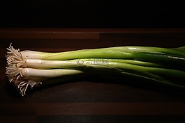 冬季洋葱,韭菜,根