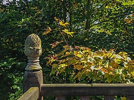 花园,夏季,阳台