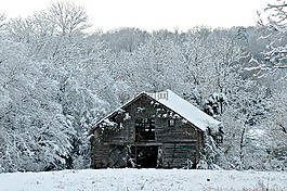 冬天,雪,自然