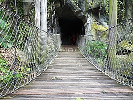 橋,木橋,木