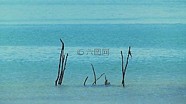 mar,海灘,水