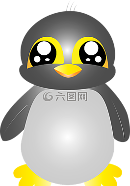 可愛,企鵝,動物