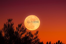 滿月,天空,夜