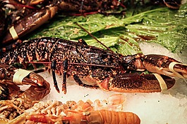 龍蝦,螃蟹,魚市場