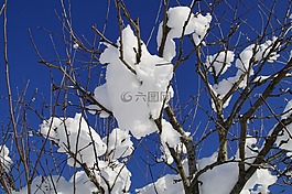 樹,分支機(jī)構(gòu),關(guān)閉