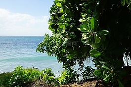 加勒比,島,海