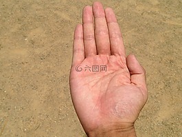 手掌,手,手指