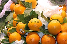 橘子,水果,維生素