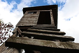 小屋,梯子,一個觀景臺