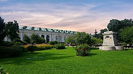 草坪,家庭,希望