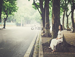 女孩,單,越南