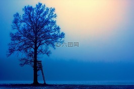 性質(zhì),天空,黎明
