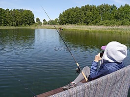 魚,湖,水