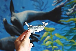 魚,水族館,手