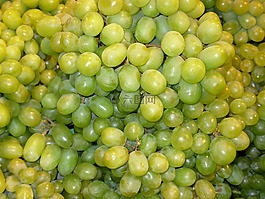 葡萄,綠色,水果