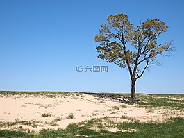 芝加哥,海灘,藍(lán)色