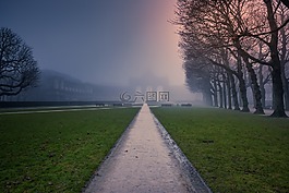 公園,上午,太陽