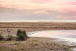 海,海灘,砂