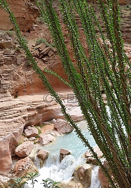 大峽谷國家公園,河,石