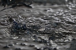 濕,水,反射