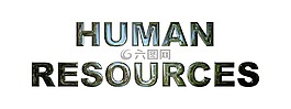 人力資源,業(yè)務(wù),人