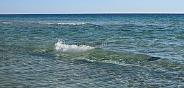 波,水,海洋