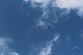 天空,猛禽,巴西利卡塔