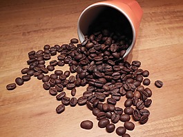 咖啡,豆類(lèi),杯