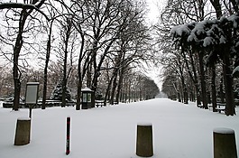 盧森堡,冬天,雪