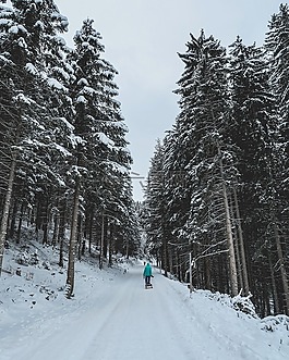 雪,冬天,白