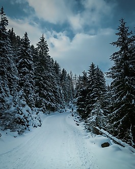 雪,冬天,白