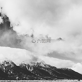雪,冬天,白