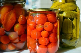 養(yǎng)護(hù),收獲,腌制