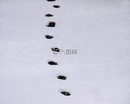 冬天,雪,自然