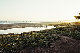 海灘,沙,水